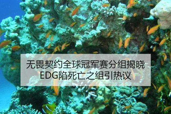 无畏契约全球冠军赛分组揭晓 EDG陷死亡之组引热议